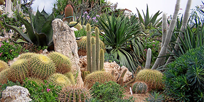 LA_REGION_Eze_jardin_exotique LA_REGION_Eze_jardin_exotique